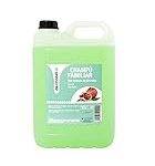 Top 5 des meilleurs shampoings rechargeables pour une coiffure et barberie écologiques Top 5 des meilleurs shampoings rechargeables pour une coiffure et barberie écologiques